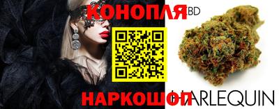 PSILOCYBIN Краснодар