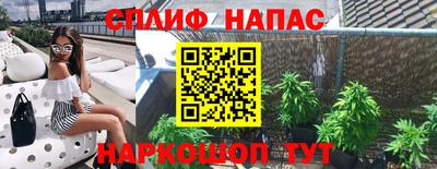 стафф Краснознаменск