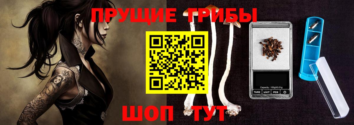 Псилоцибиновые грибы Psilocybe  Вход с VPN  Кимры 
